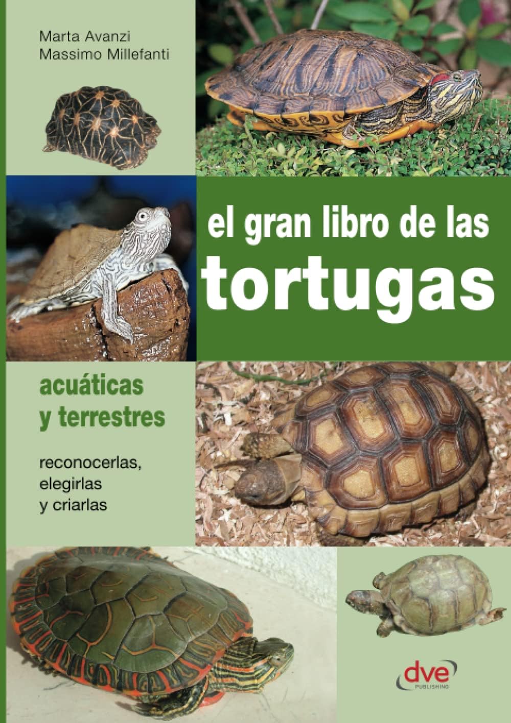 El gran libro de las tortugas (Spanish Edition) by Marta Avanzi