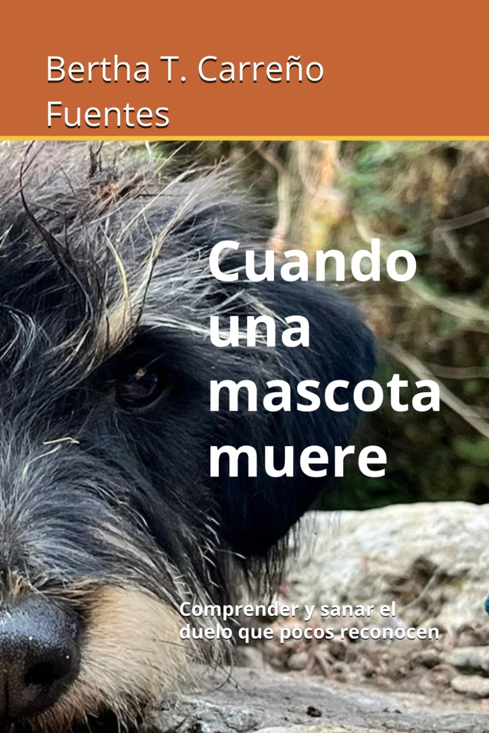 Cuando una mascota muere: Comprender y sanar el duelo que pocos reconocen (Spanish Edition) by Bertha Tzitzitlini Carreño Fuentes