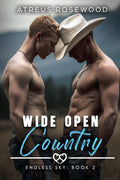 Wide Open Country: An MM Enemies to Lovers Cowboy Prison BDSM Romance (Endless Sky Cowboys) by Atreus Rosewood
