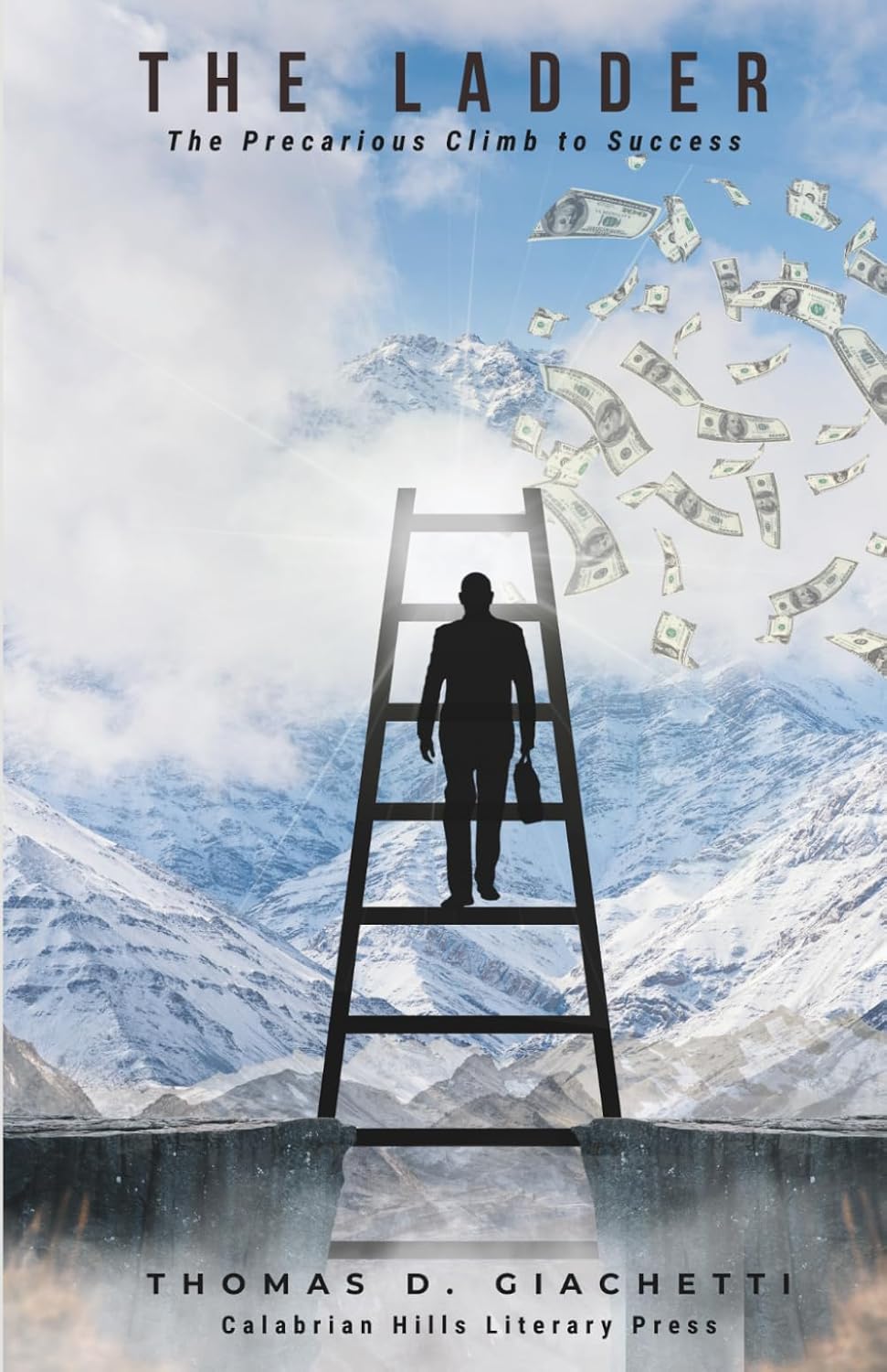 THE LADDER: The Precarious Climb to Success by THOMAS D GIACHETTI