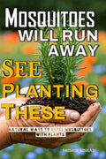 Mosquitoes will Run Away See Planting These: Best Plants to Repel Mosquitoes and Keep Bugs Away Naturally | Natural Ways to Repel Mosquitoes with Plants by Shishir Nishad