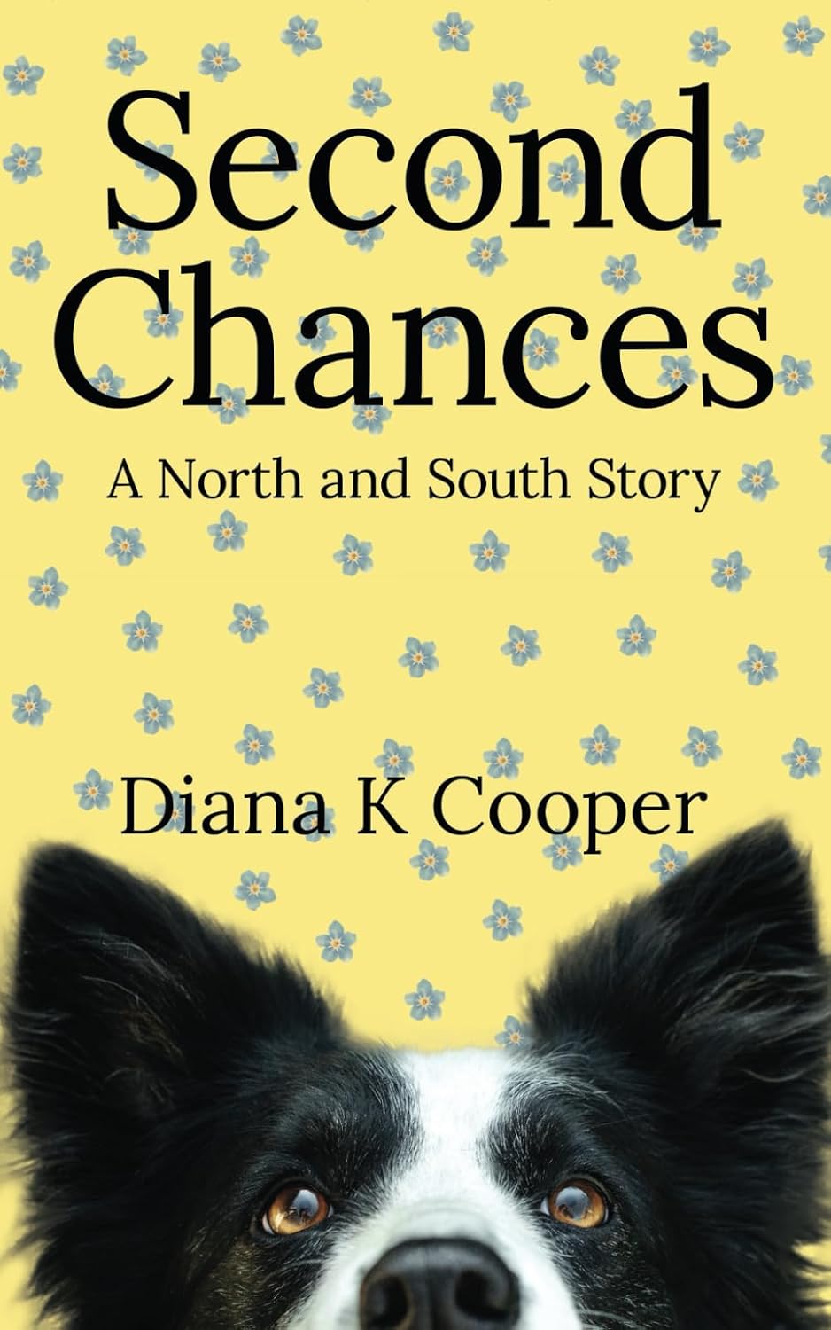 Second Chances: A North and South Story by Diana K Cooper
