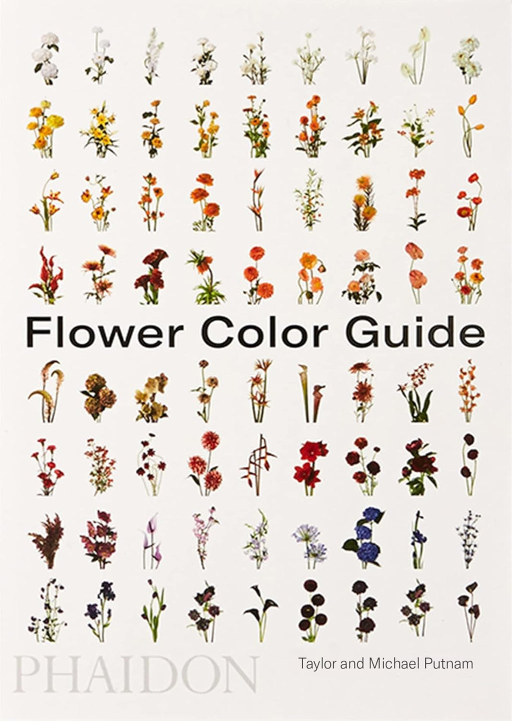 Flower Color Guide by Taylor Putnam