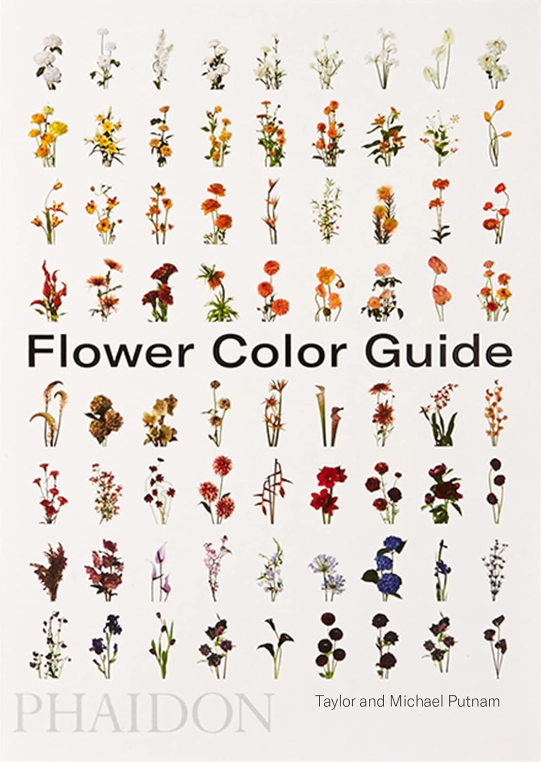 Flower Color Guide by Taylor Putnam