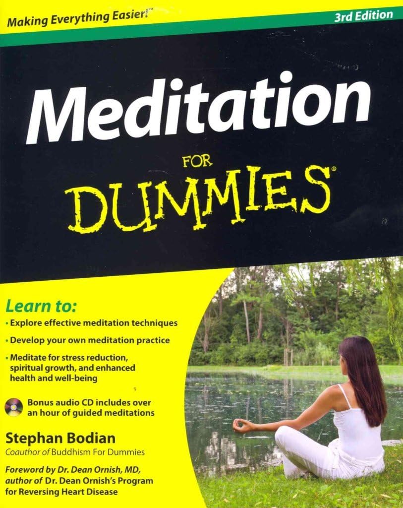 Meditation for Dummies by Stephan Bodian