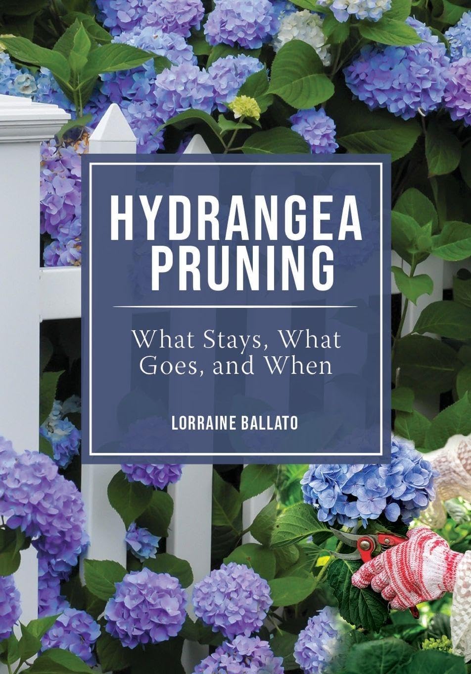 Hydrangea Pruning: What Stays, What Goes, and When by Lorraine Ballato