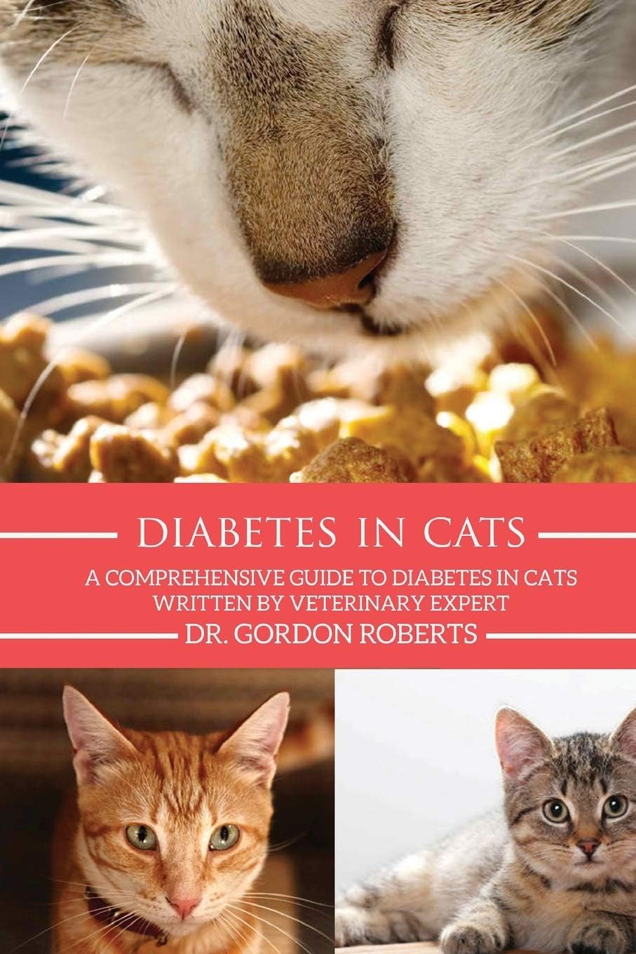 Diabetes in Cats: A Comprehensive Guide to Diabetes in Cats by Dr. Gordon Roberts BVSc MRCVS