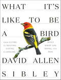What It's Like to Be a Bird: From Flying to Nesting, Eating to Singing--What Birds Are Doing, and Why (Sibley Guides) by David Allen Sibley