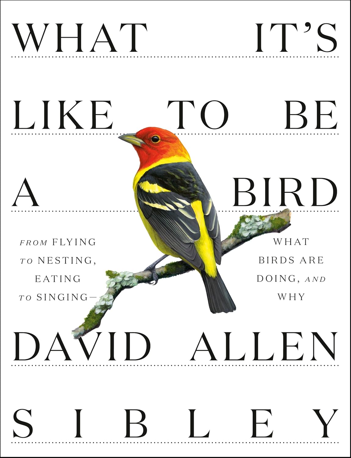What It's Like to Be a Bird: From Flying to Nesting, Eating to Singing--What Birds Are Doing, and Why (Sibley Guides) by David Allen Sibley