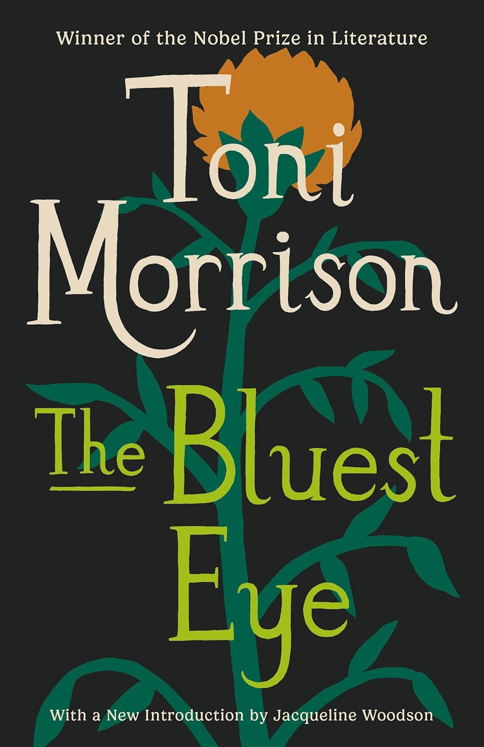 The Bluest Eye: A Novel (Vintage International) by Toni Morrison
