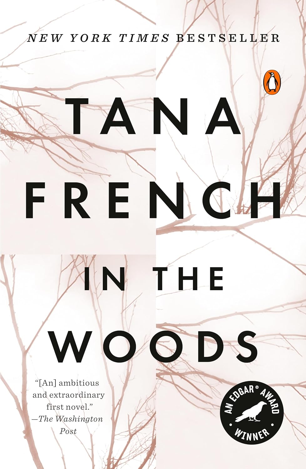 In the Woods: A Novel (Dublin Murder Squad) by Tana French