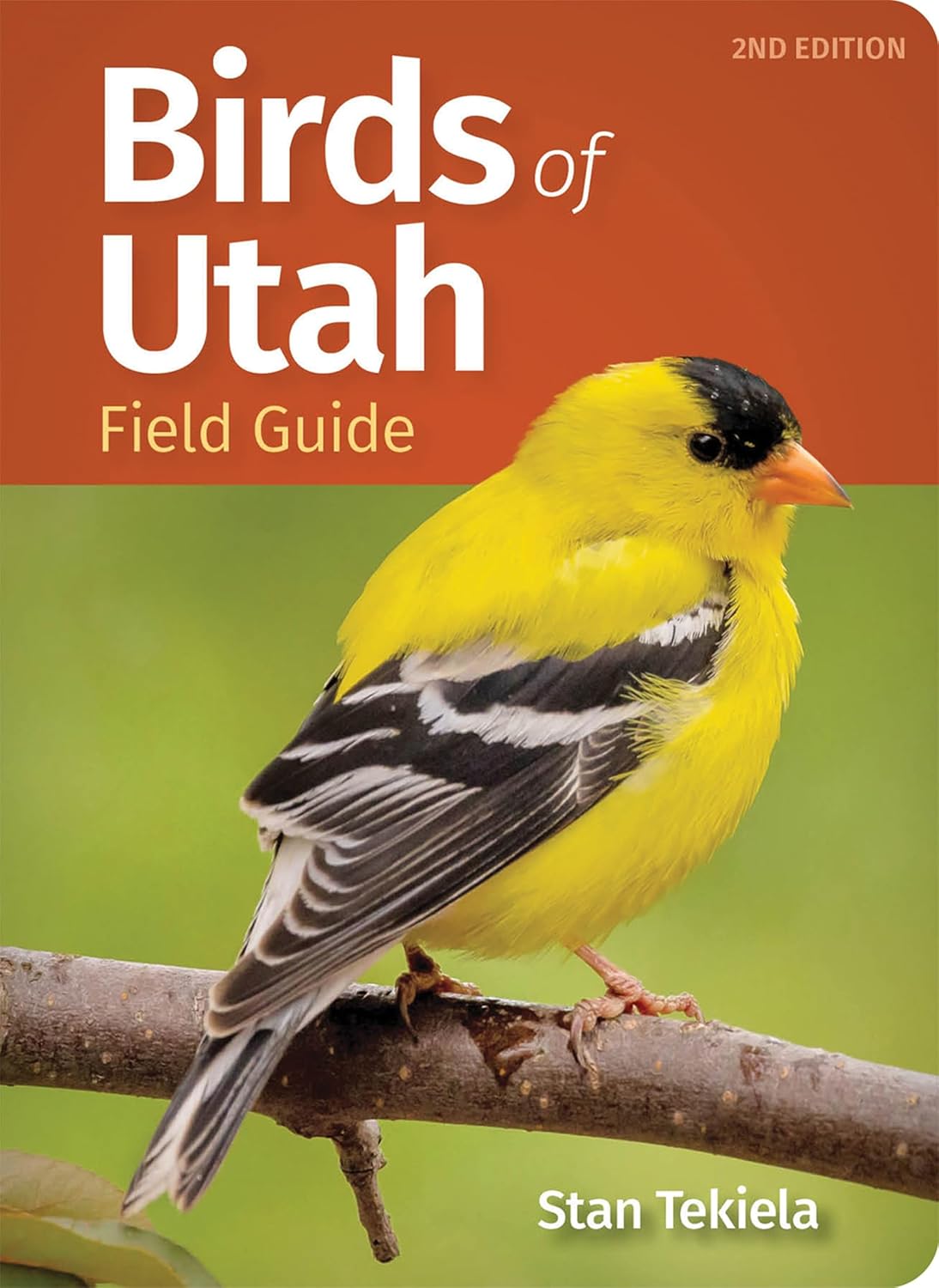 Birds of Utah Field Guide (Bird Identification Guides) by Stan Tekiela