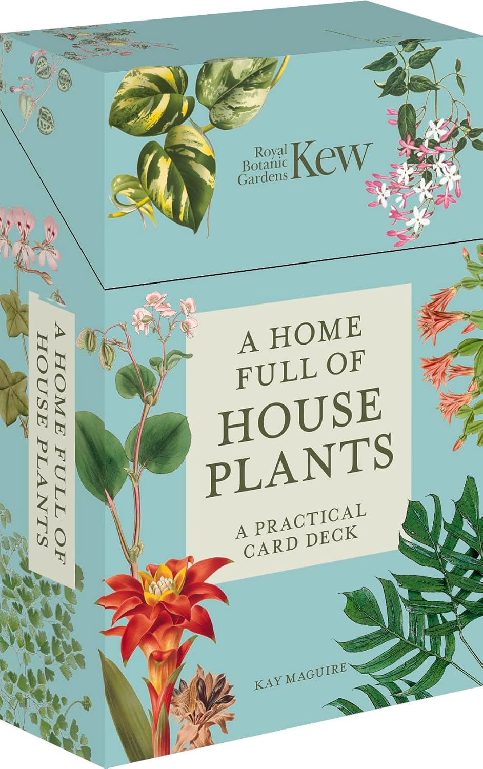 A Home Full of House Plants: A Practical Card Deck (Kew Experts) by Kay Maguire