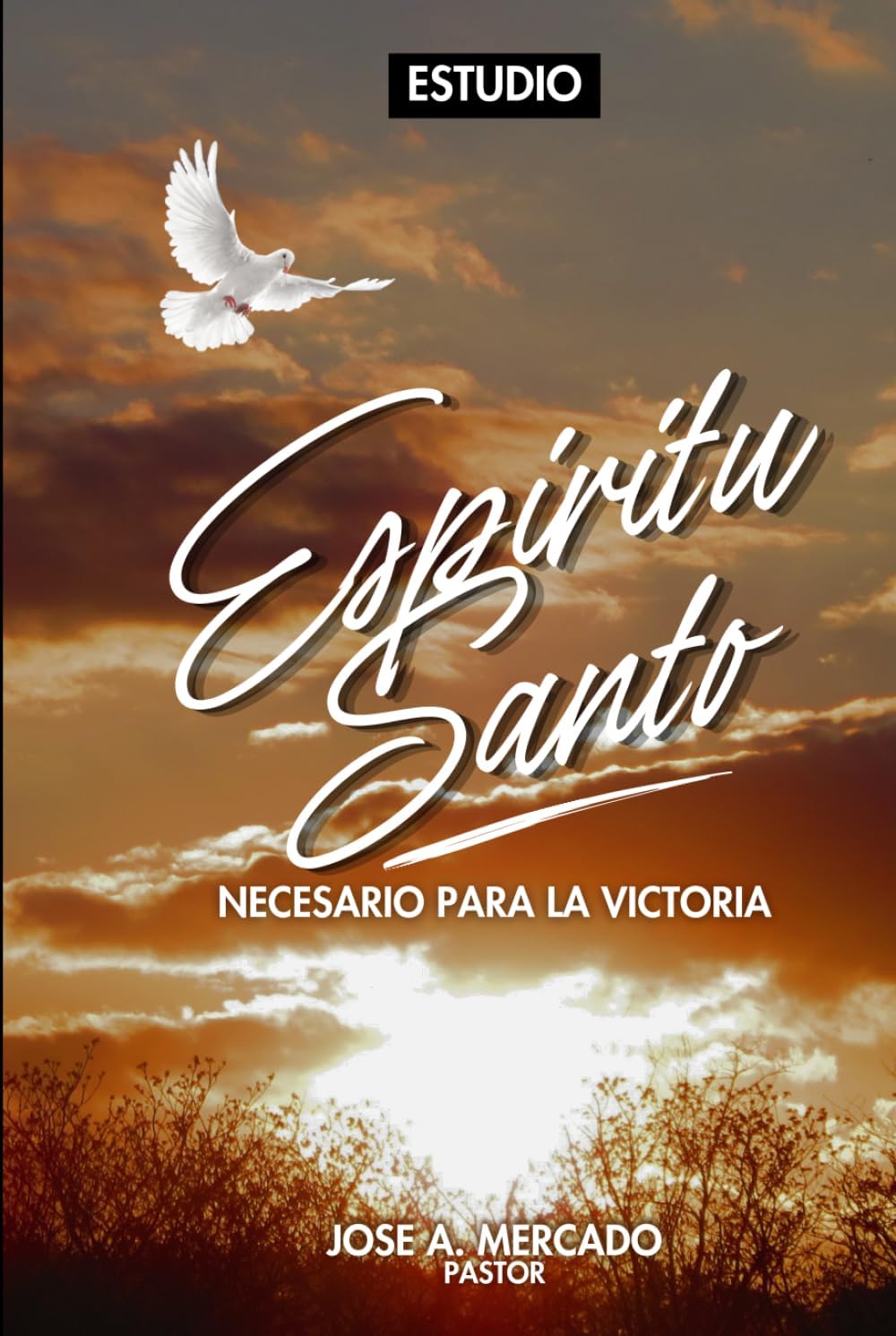 Espiritu Santo, Necesario Para La Victoria. (Spanish Edition) by Jose A. Mercado