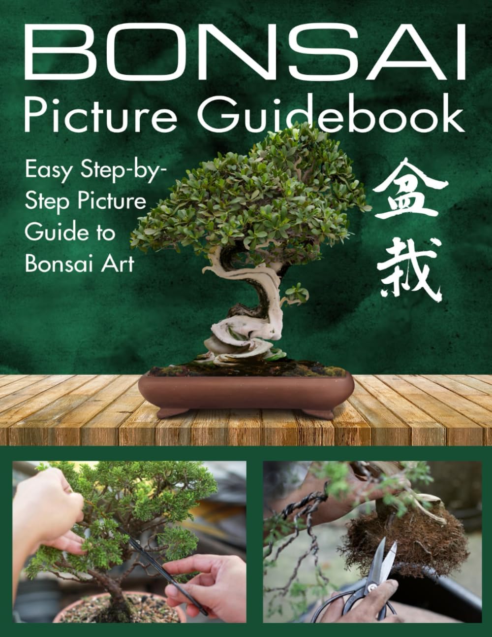Bonsai Picture Guidebook: Bonsai Trees Book for Beginners with Easy Step-by-Step Visual Guide to Growing, Caring and Shaping Bonsai Trees by Medina Creative