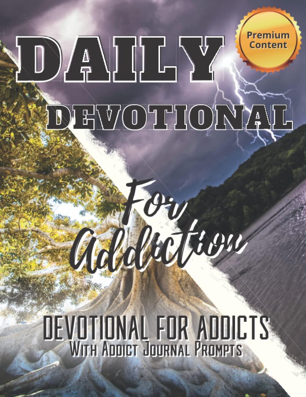 Daily Devotional for Addiction, Devotional for Addicts: Addict Journal Prompts to Help With Recovery After Rehab, Gift for Someone in Recovery by LEO Warriors