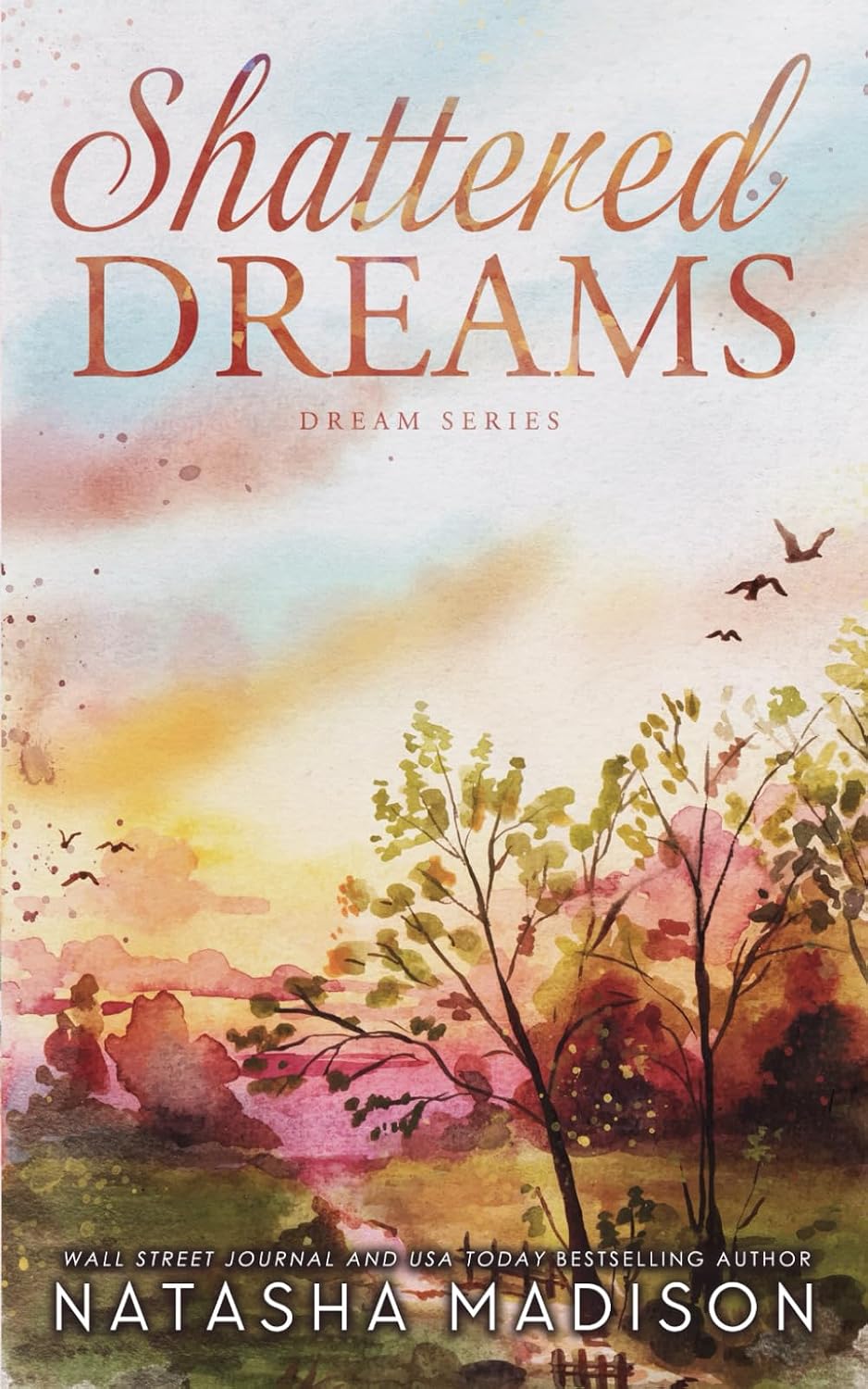Shattered Dreams: A small town, enemies to lovers, forbidden romance (Dream Series book 1) by Natasha Madison