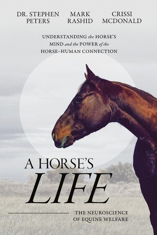 A Horse's Life: The Neuroscience of Equine Welfare by Stephen Peters