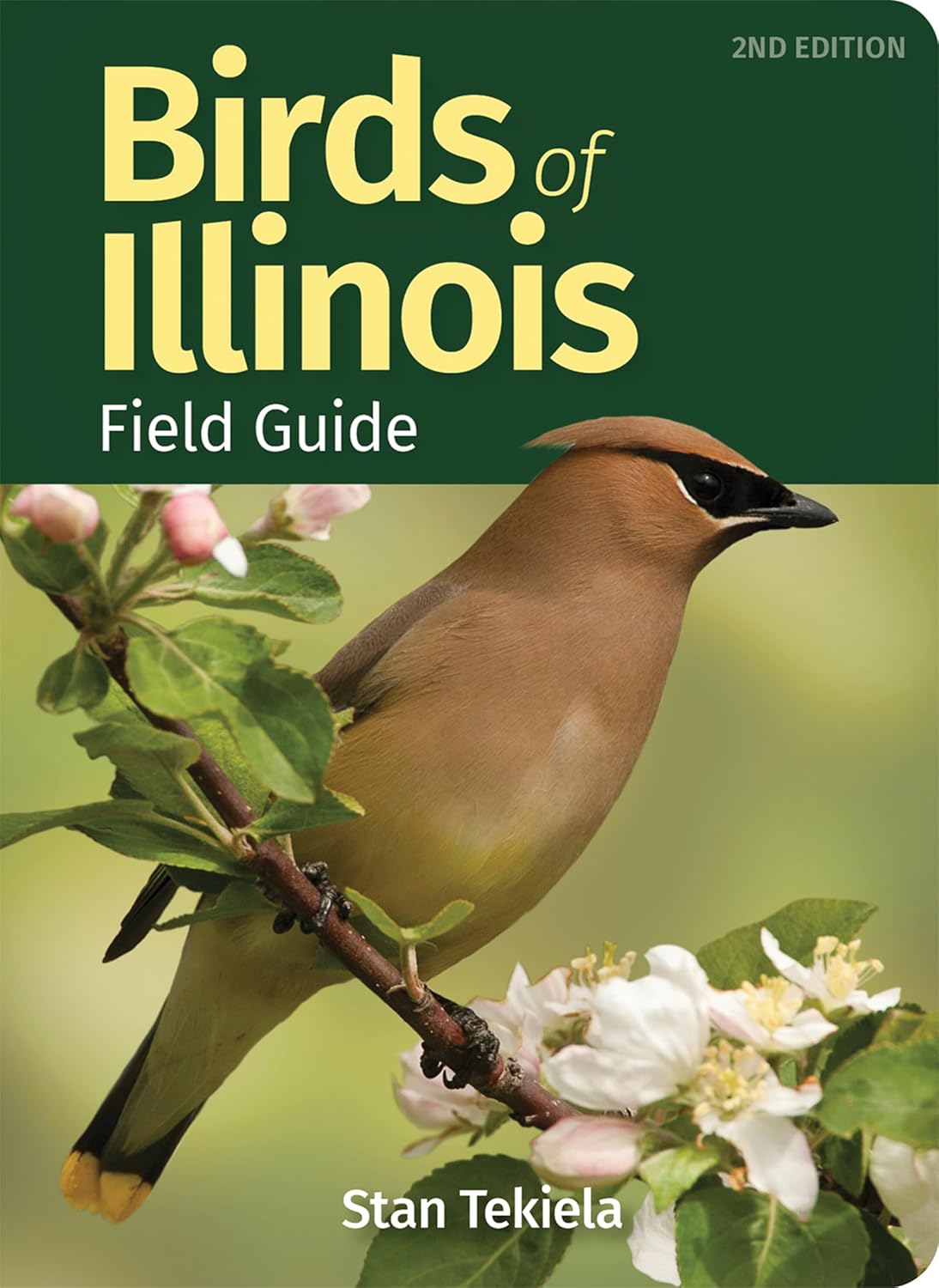 Birds of Illinois Field Guide (Bird Identification Guides) by Stan Tekiela