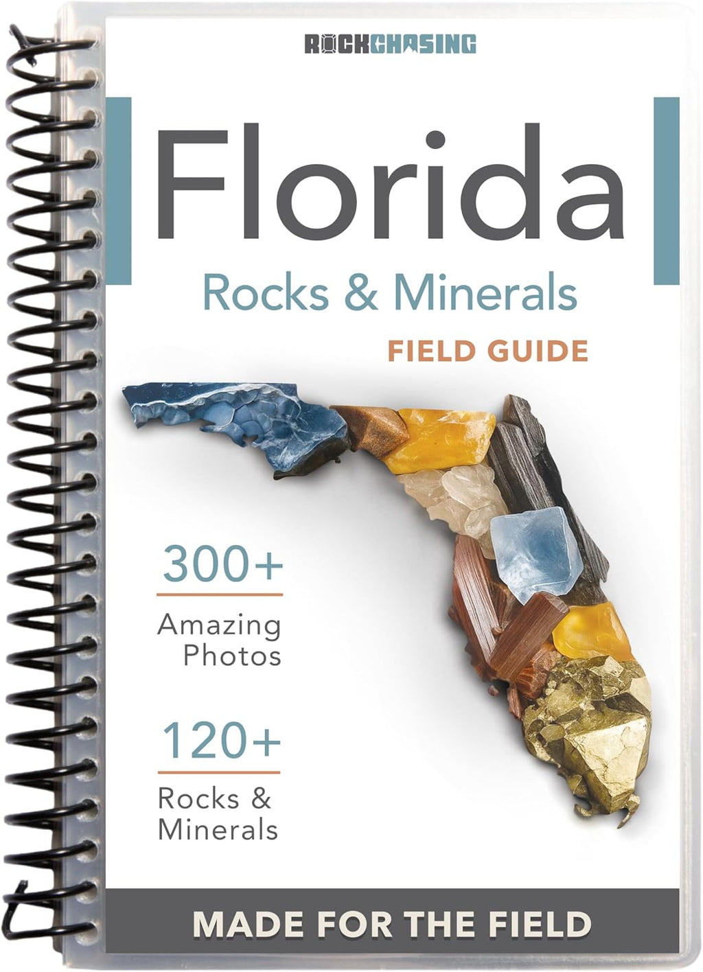 Florida Rocks & Minerals Identification Field Guide | Waterproof | Find Rocks, Minerals, Crystals, and Gems | For Beginners, Kids, and Experienced Rockhounds | Rock Chasing by Rock Chasing