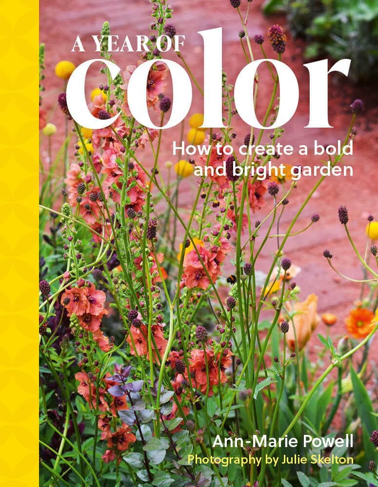A Year of Color: How to create a bold and bright garden by Ann-Marie Powell