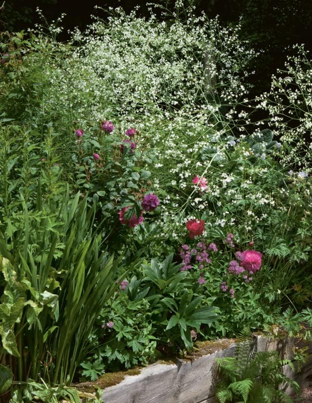 Grow Your Own Garden: How to propagate all your own plants by Carol Klein