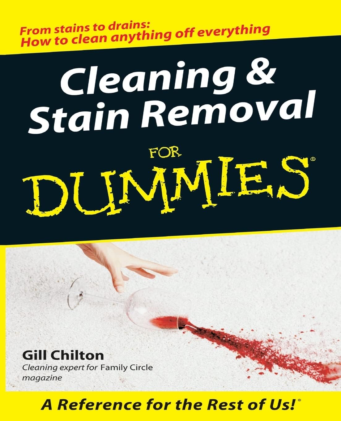 Cleaning and Stain Removal for Dummies by Gill Chilton