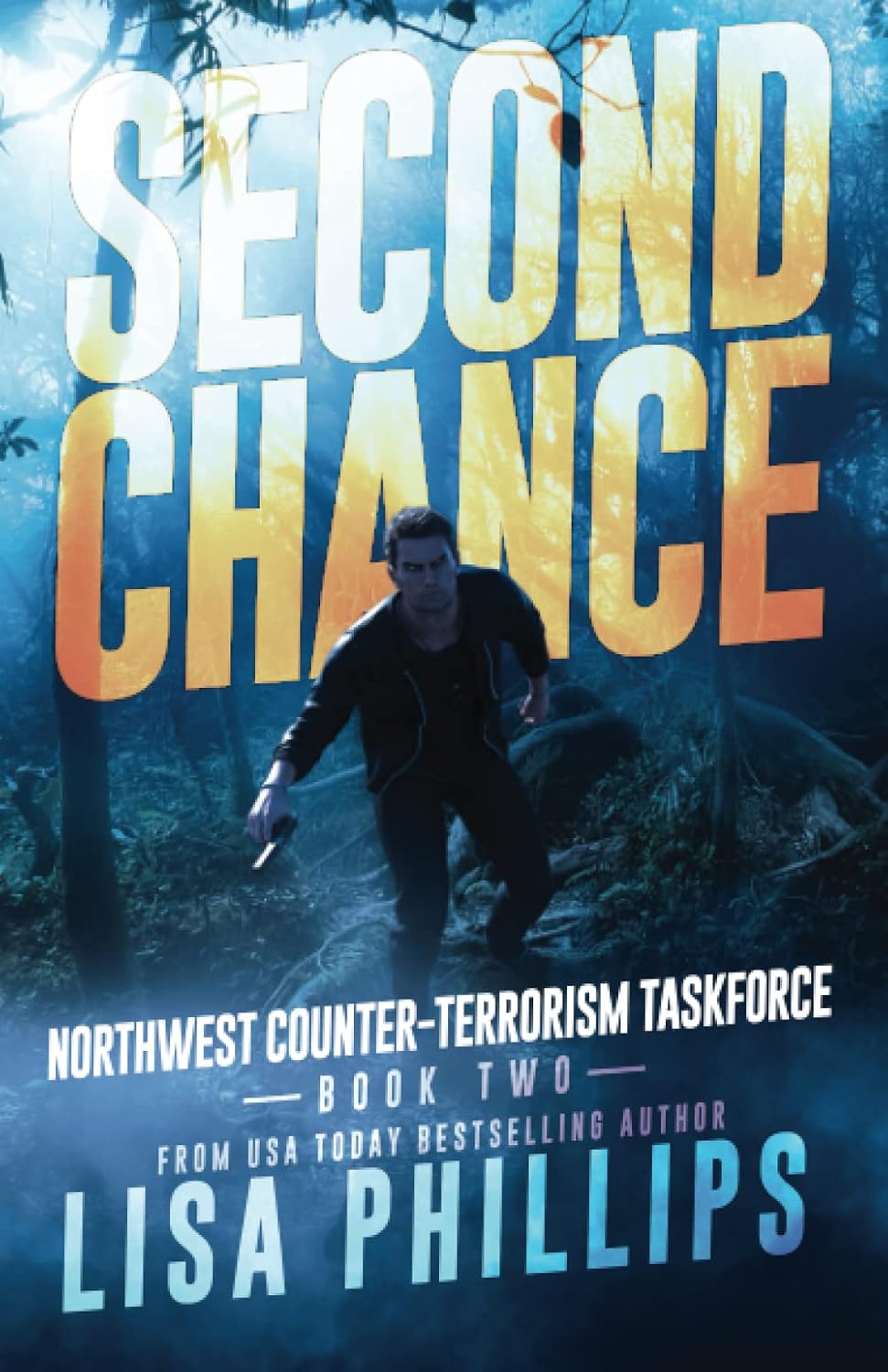 Second Chance (Northwest Counter-Terrorism Taskforce) by Lisa Phillips