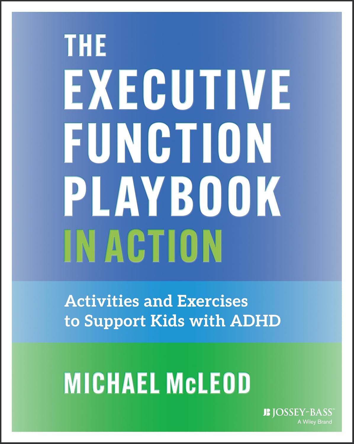 The Executive Function Playbook in Action: Activities and Exercises to Support Kids with ADHD by Michael McLeod