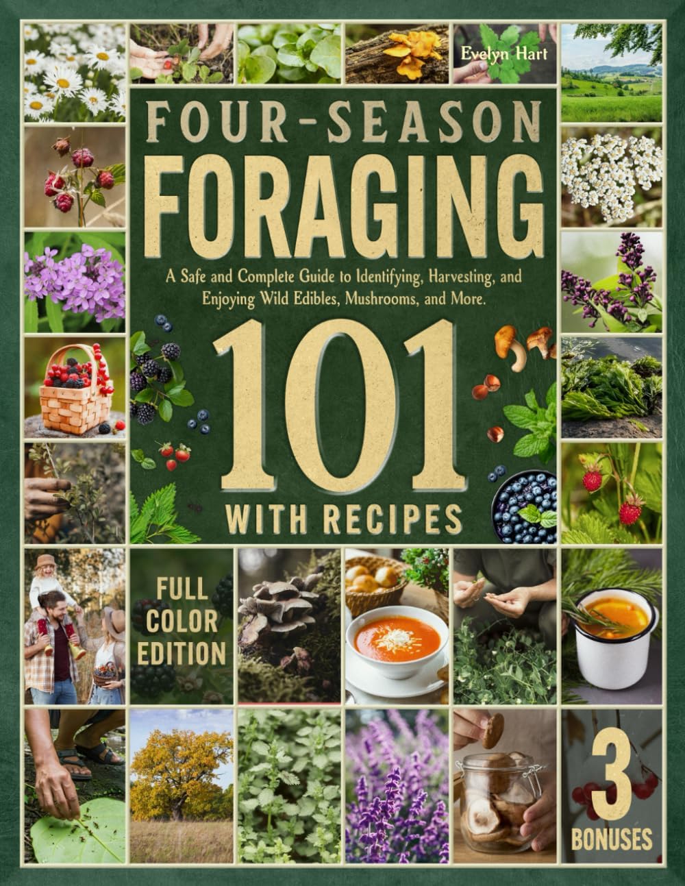 Four-Season Foraging 101: A Safe and Complete Guide to Identifying, Harvesting, and Enjoying Wild Edibles, Mushrooms, and More — Featuring FULL-COLOR Visuals of All Plants and Recipes by Evelyn Hart