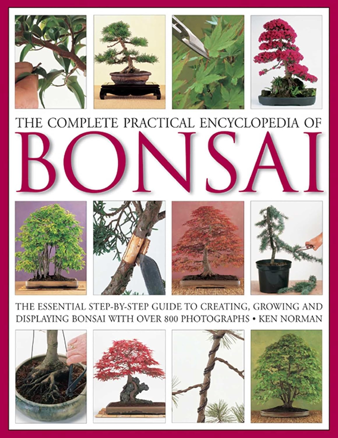 The Complete Practical Encyclopedia of Bonsai: The Essential Step-by-Step Guide to Creating, Growing, and Displaying Bonsai with Over 800 Photographs by Ken Norman
