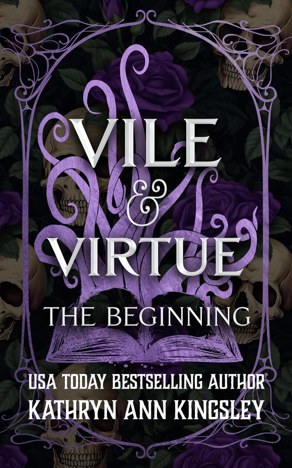 Vile & Virtue: The Beginning by Kathryn Ann Kingsley