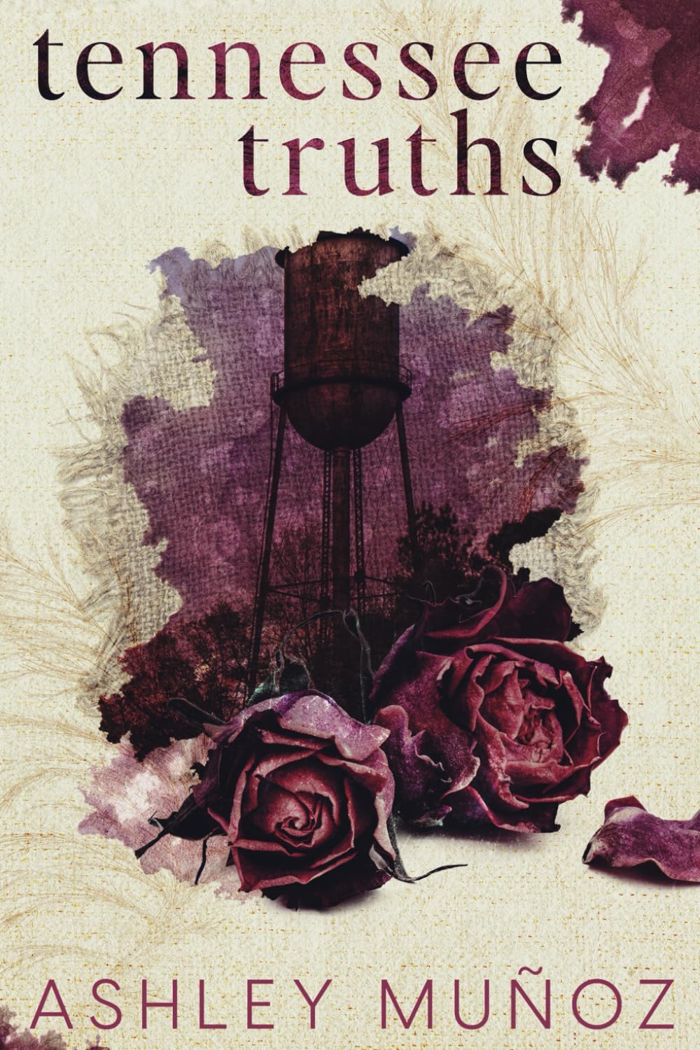 Tennessee Truths: A Standalone Enemies-to-Lovers- Romance by Ashley Munoz