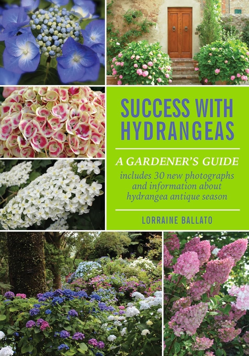 Success With Hydrangeas: A Gardener's Guide by Lorraine Ballato