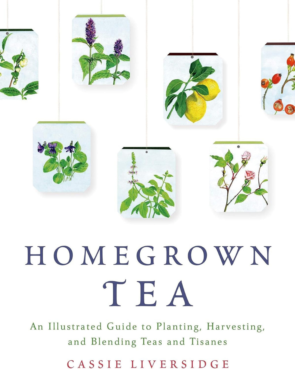 Homegrown Tea: An Illustrated Guide to Planting, Harvesting, and Blending Teas and Tisanes by Cassie Liversidge