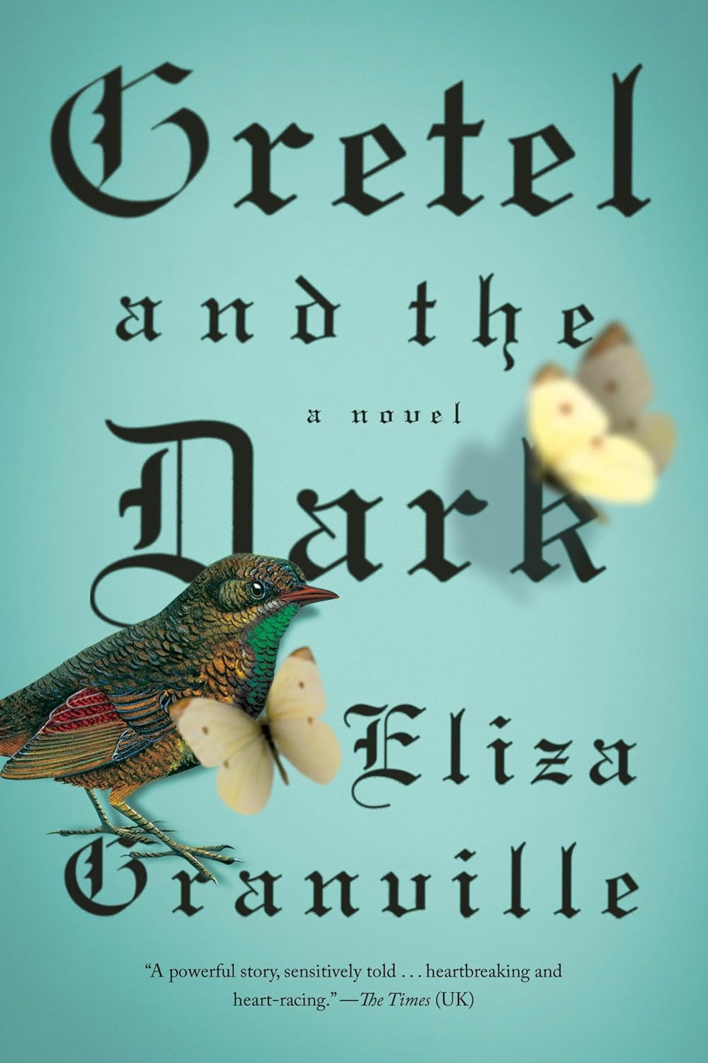 Gretel and the Dark: A Novel by Eliza Granville