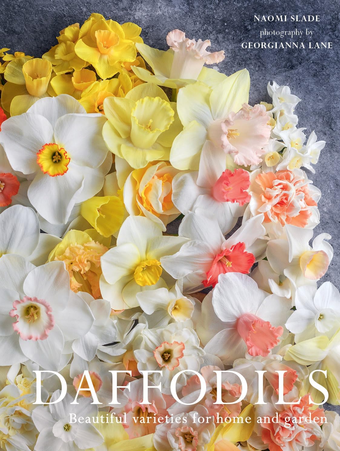 Daffodils: Beautiful Varieties for Home and Garden (Flowers) by Naomi Slade