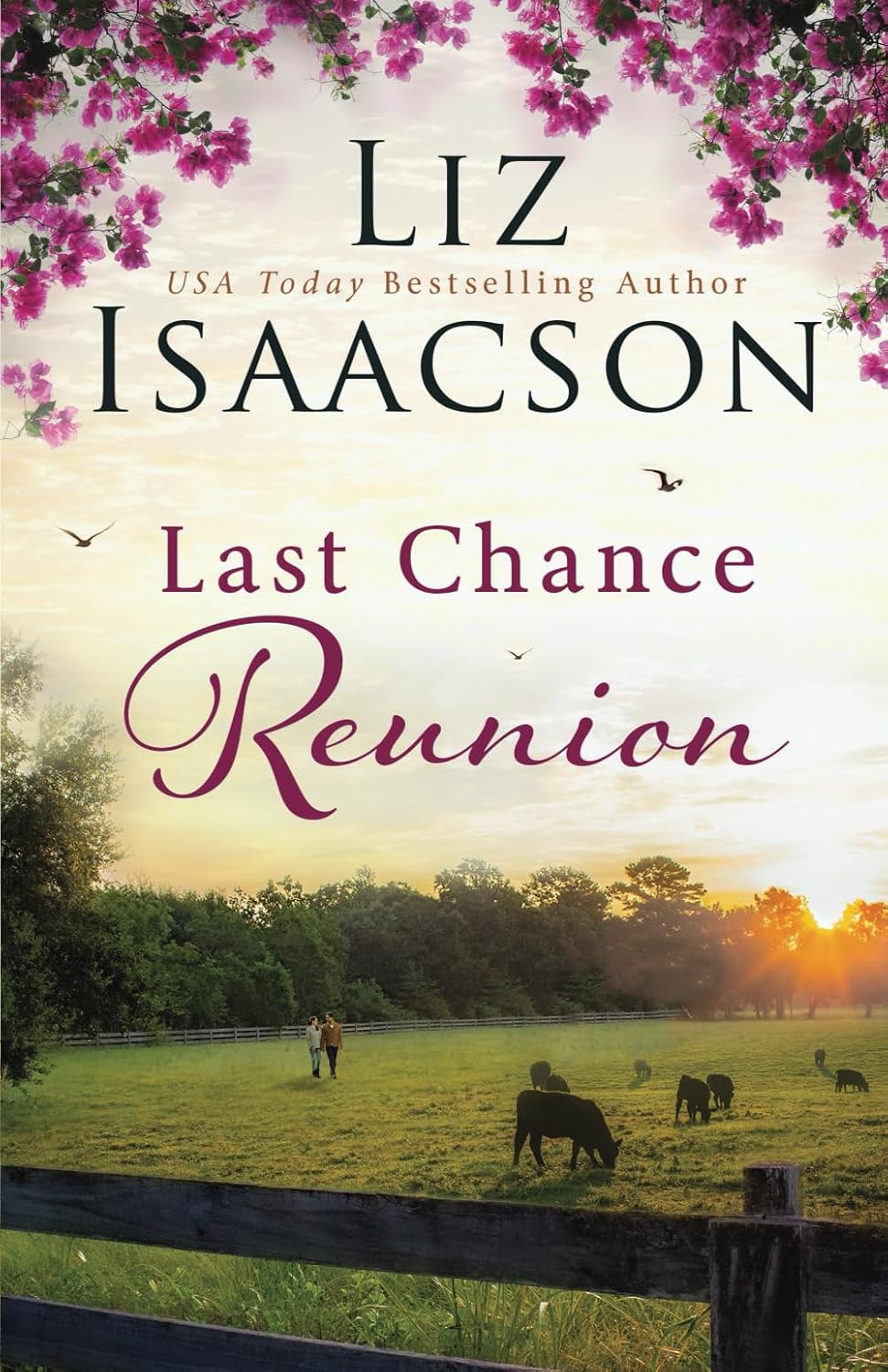 Last Chance Reunion (Last Chance Ranch Romance) by Liz Isaacson