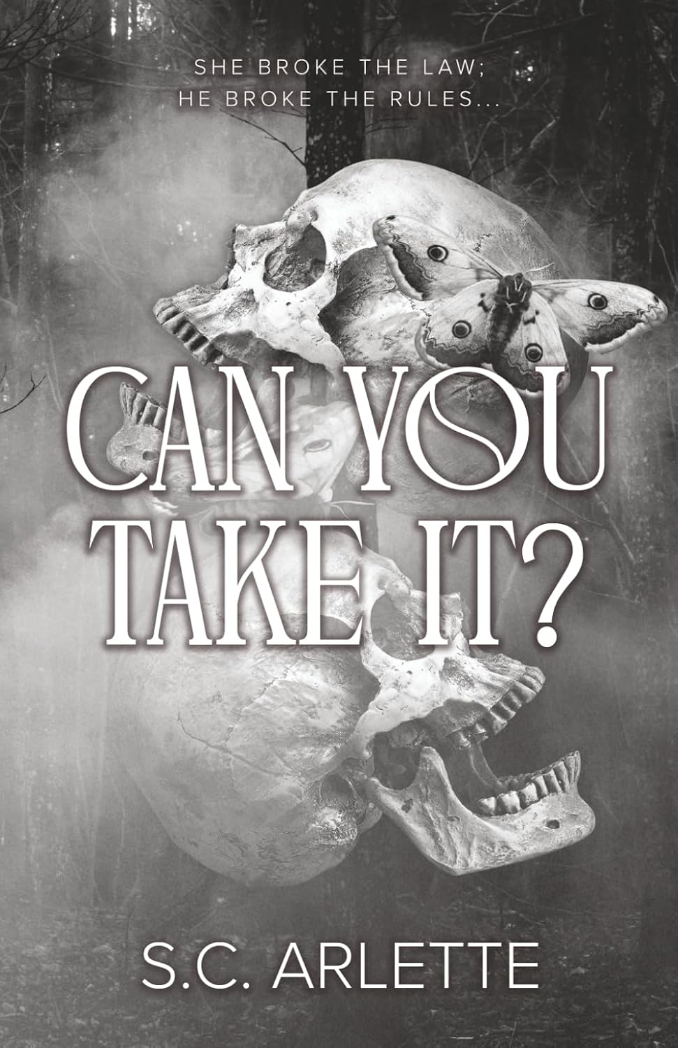 Can You Take It? A Dark Enemies-to-Lovers Romance by S.C. Arlette