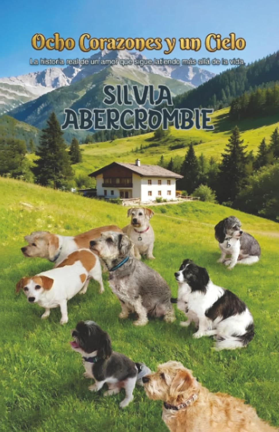 Ocho Corazones y un Cielo: La historia real de un amor que sigue latiendo más allá de la vida (Spanish Edition) by Silvia Abercrombie