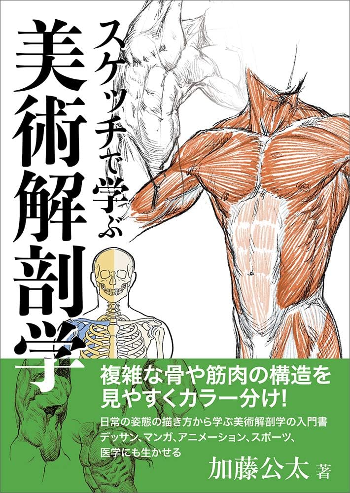 Art Anatomy Taught Through Sketches / スケッチで学ぶ美術解剖学 by Kouta Kato