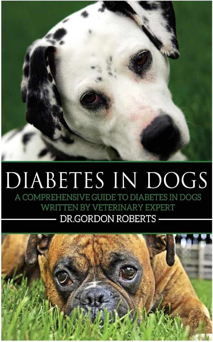 Diabetes in Dogs: A Comprehensive Guide to Diabetes in Dogs by Dr Gordon Roberts BVSc M