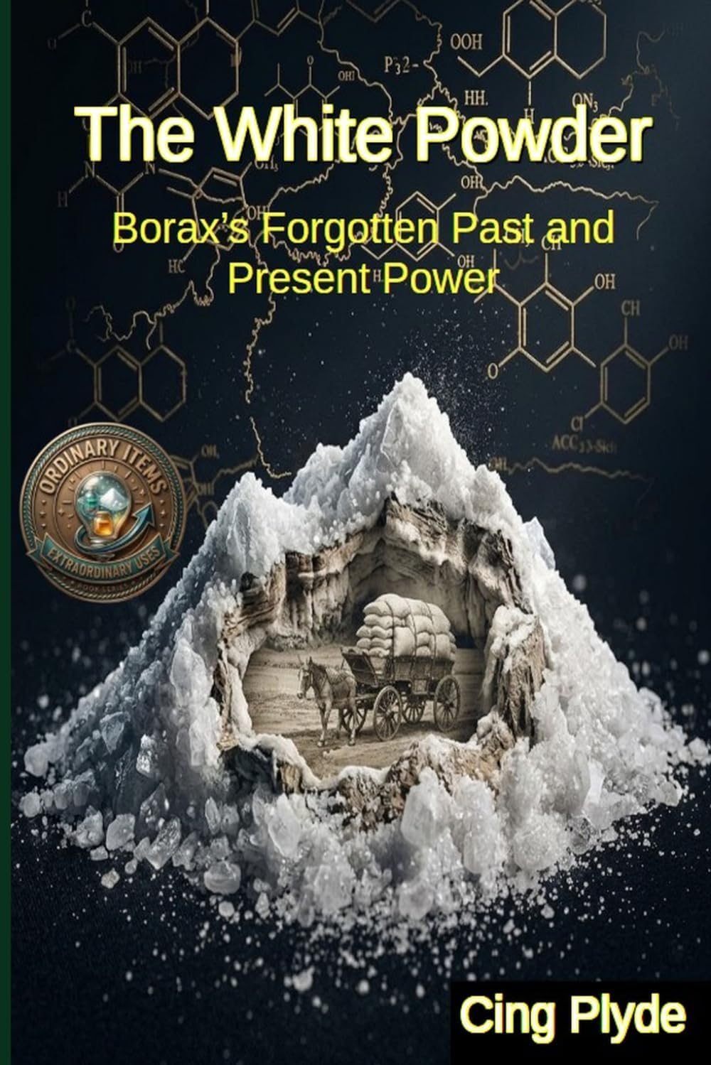 The White Powder: Borax’s Forgotten Past and Present Power (Ordinary Items, Extraordinary Uses) by Cing Plyde