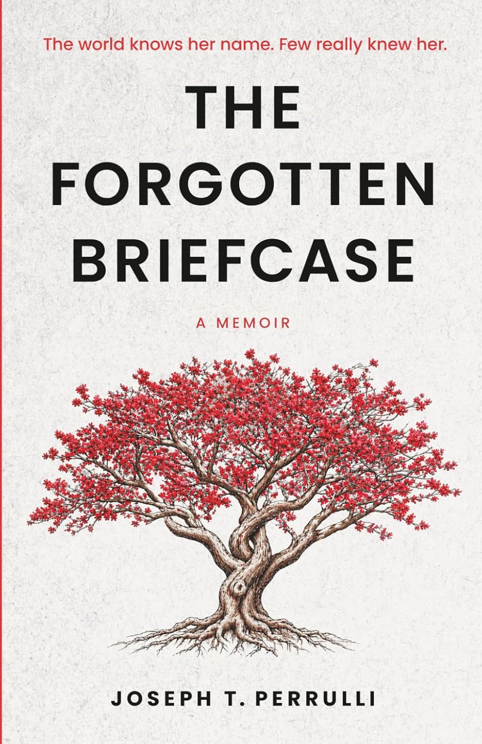 The Forgotten Briefcase: The world knows her name. Few really knew her. by Joseph Perrulli