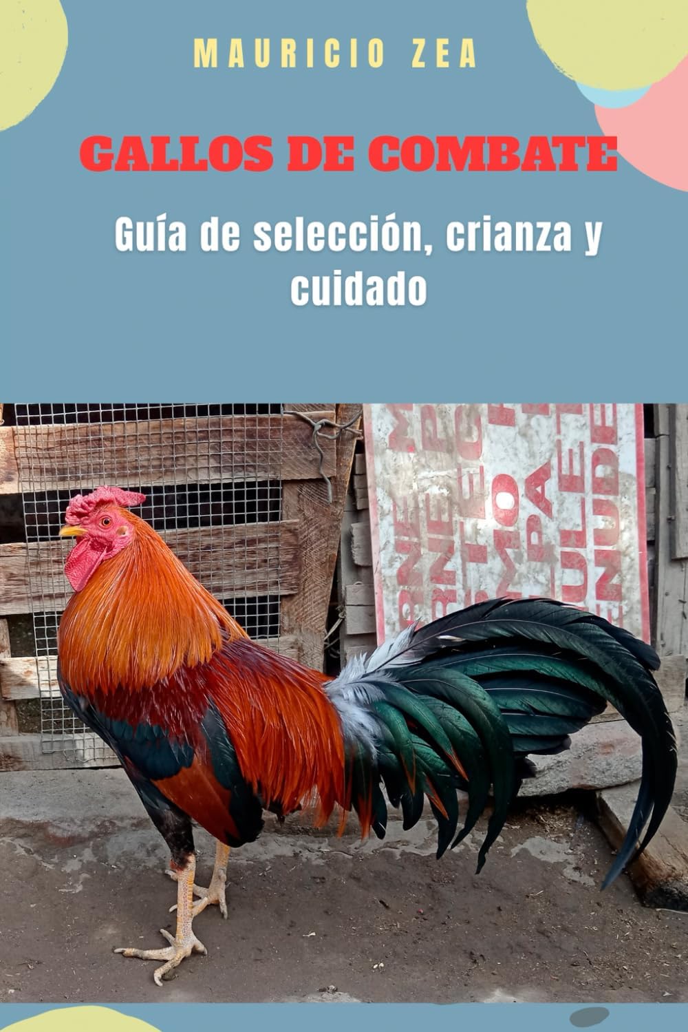 GALLOS DE COMBATE: Guía de selección, crianza y cuidado (El gallo combatiente) (Spanish Edition) by Mauricio Zea