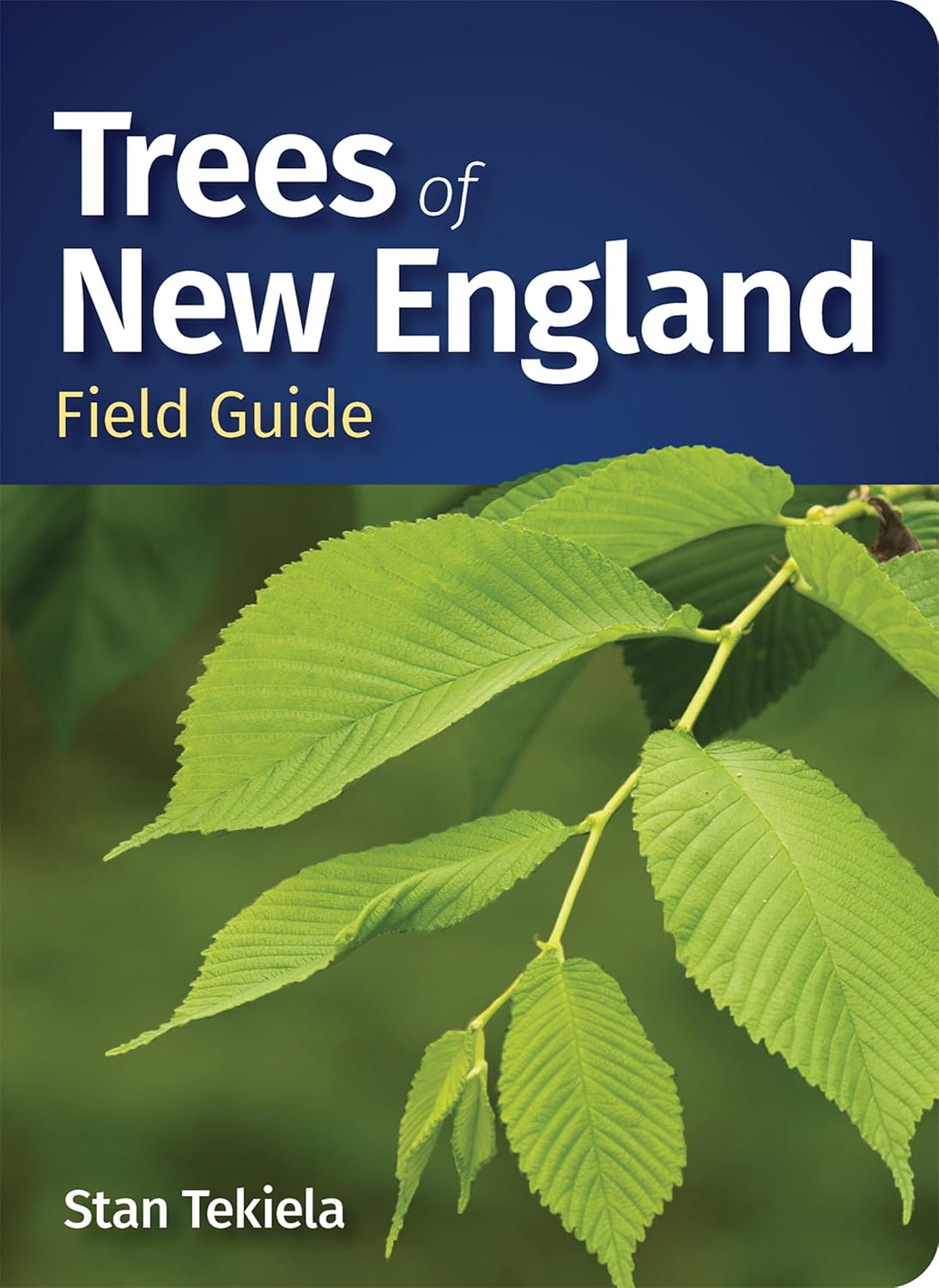 Trees of New England Field Guide (Tree Identification Guides) by Stan Tekiela