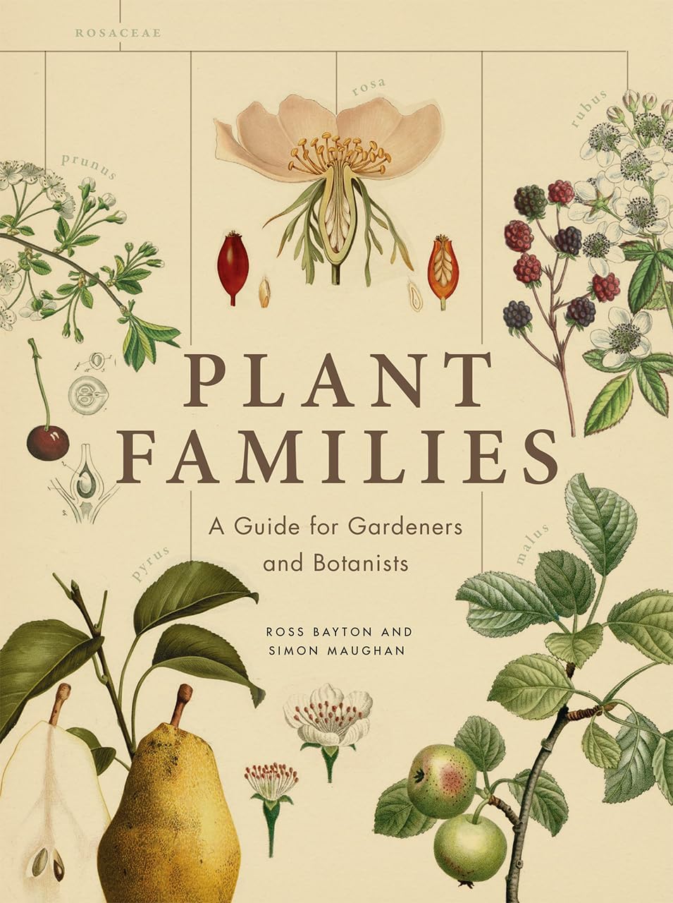 Plant Families: A Guide for Gardeners and Botanists by Ross Bayton