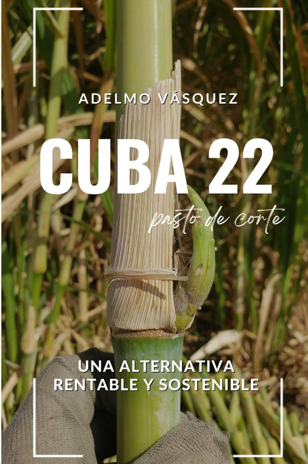 Pastos de corte: Cuba 22: Una alternativa rentable y sostenible (Spanish Edition) by Adelmo Vasquez