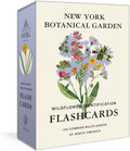 New York Botanical Garden Wildflower Identification Flashcards: 100 Common Wildflowers of North America by The New York Botanical Garden