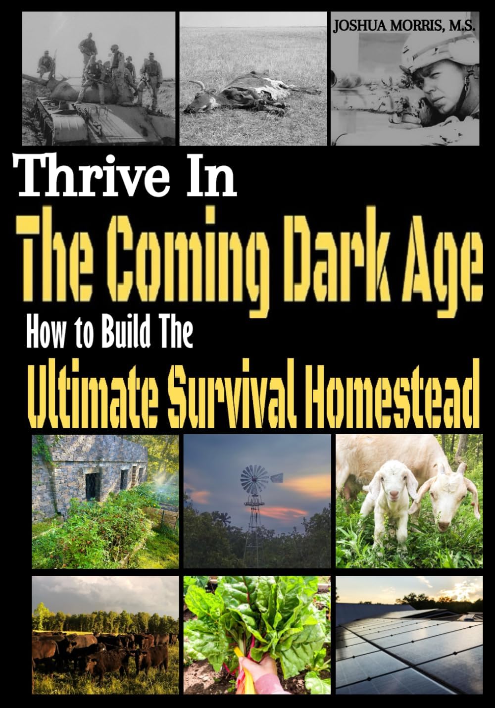Thrive in the Coming Dark Age: How to Build the Ultimate Survival Homestead by Joshua Alan Morris M.S.